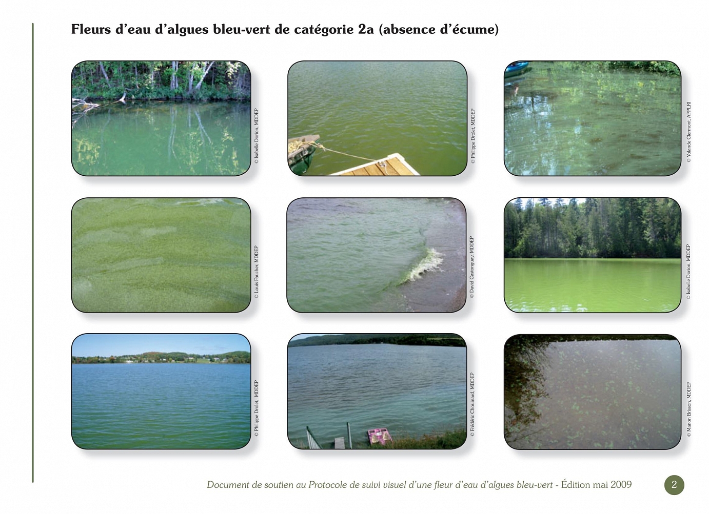 Ministère du Développement durable, de l’Environnement et des Parcs, Conseil régional de l’environnement des Laurentides, Document de soutien au Protocole de suivi visuel d’une fleur d’eau d’algues bleu-vert, Juillet 2008 (2e édition – mai 2009).