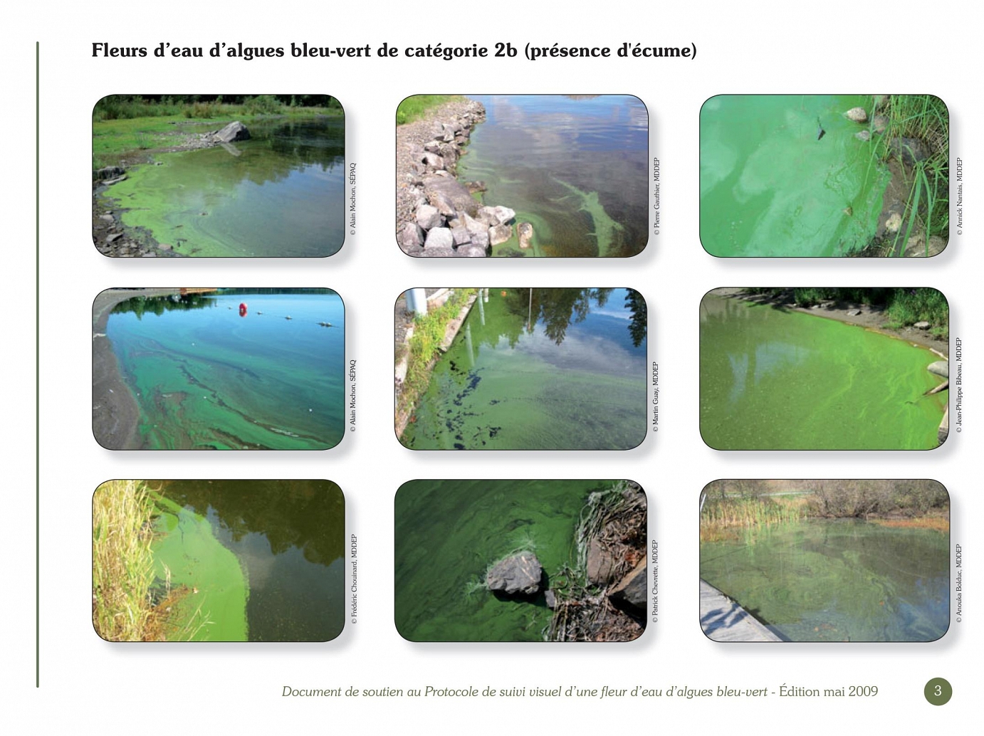 Ministère du Développement durable, de l’Environnement et des Parcs, Conseil régional de l’environnement des Laurentides, Document de soutien au Protocole de suivi visuel d’une fleur d’eau d’algues bleu-vert, Juillet 2008 (2e édition – mai 2009).
