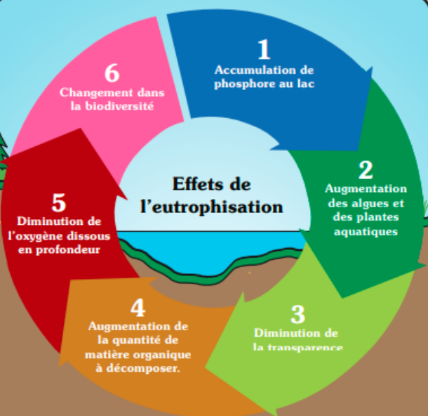 source : CRE Laurentides